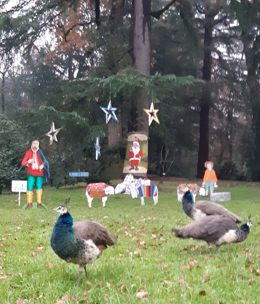 Festività natalizie nel Parco di Villa Annoni
